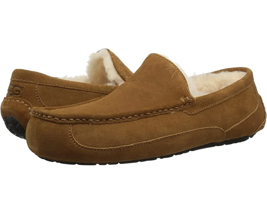 Ascot UGG slippers, chestnut