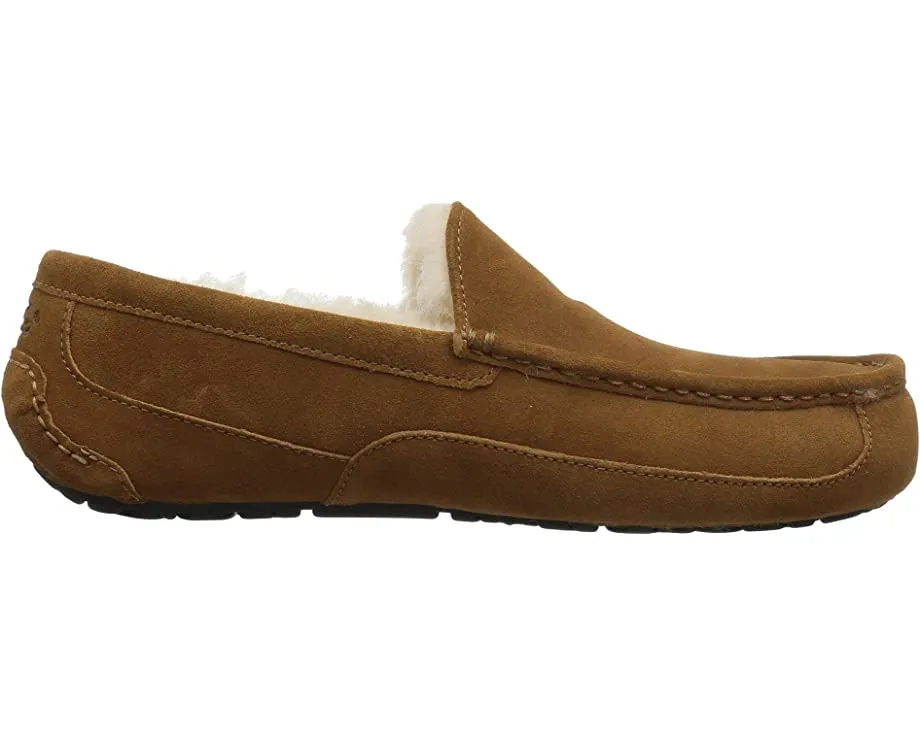 Ascot UGG slippers, chestnut